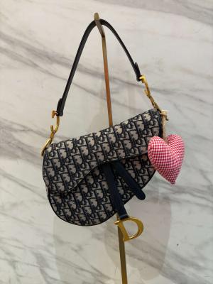 Dior Saddle Bag